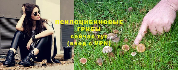 марки lsd Богданович