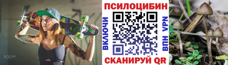 hydra ССЫЛКА  наркотики  Нефтекамск  Псилоцибиновые грибы MAGIC MUSHROOMS 